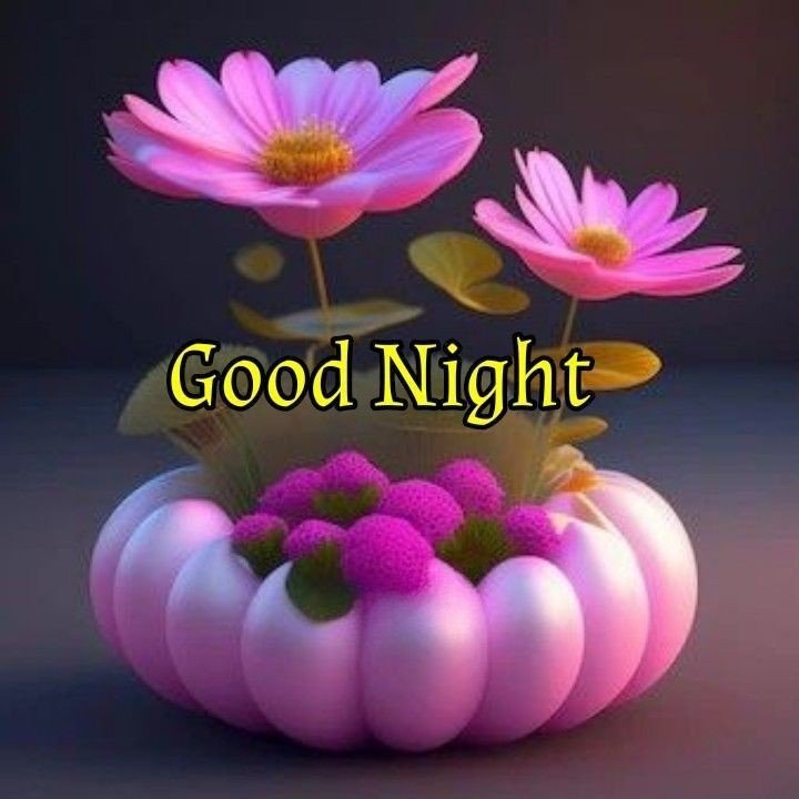 Beautiful Good Night Images HD